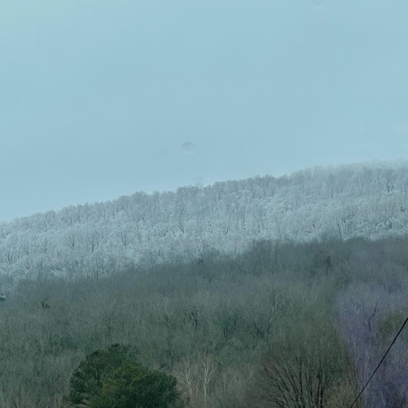 Meet your Posher, Chelsea Leigh - Picture 13 of 16